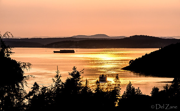 04-18 Goldy Sunset TIFFs--4