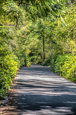 07-11 Washington Park SIGMA--31