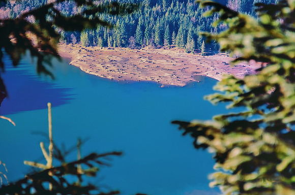 Mt. Baker...Revisted-7