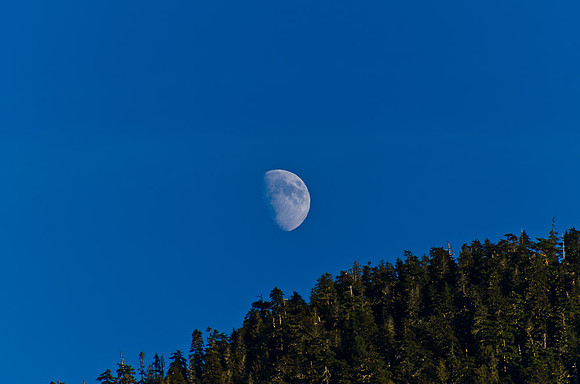 _DSC5104