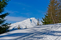 _DSC4964