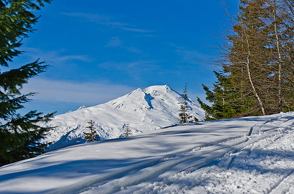 _DSC4964
