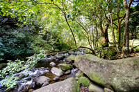 Iao Valley State Park-9