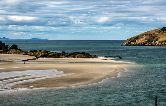 Dunedin Farewell--17