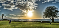 02-04 Sunset Worshipers--1
