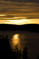 _DSC5133