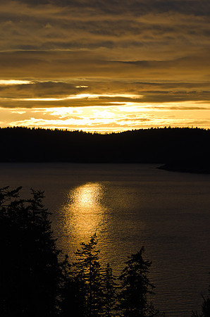_DSC5133