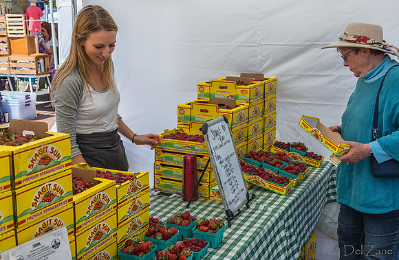 06-21 Farmers Market Tiffs--38