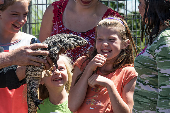 07-20 Gila Monster--3