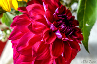 09-21 Bouquet Bokeh--4