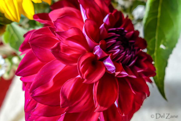 09-21 Bouquet Bokeh--4
