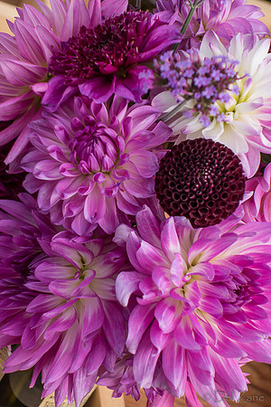 10-05 Farmers' Market--111