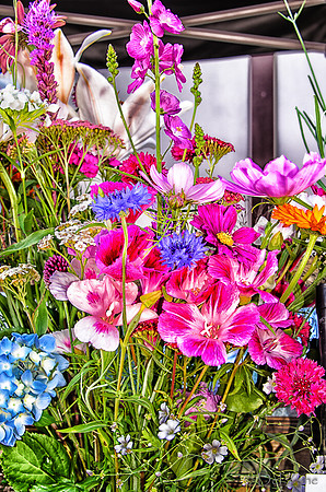 07-21 Farmers' Market-34