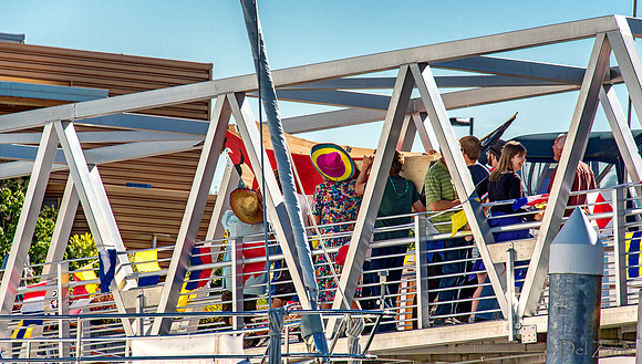 06-01 Waterfront Festival Boat Race--3