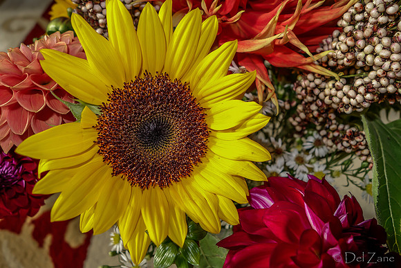 09-21 Bouquet Bokeh--3