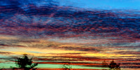 02-22 Homeland Sunset Tiffs--3