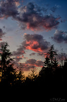 07-08 Peach Sunset-13