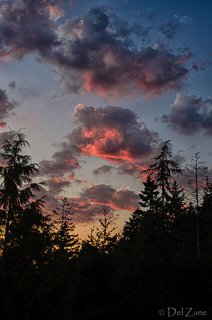 07-08 Peach Sunset-13
