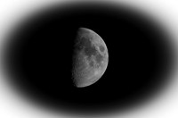 _DSC4375