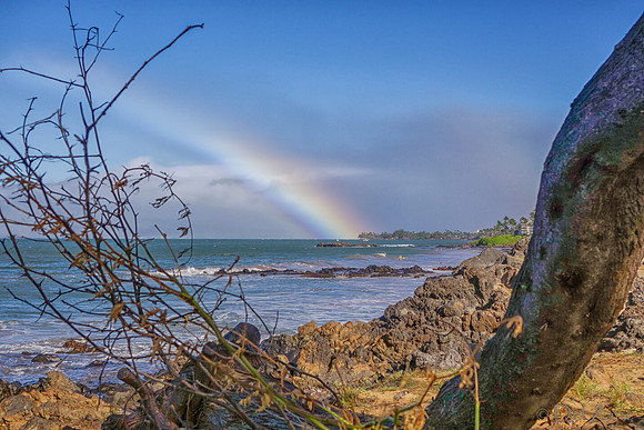 01-25 Maui Rainbow Tiffs--2