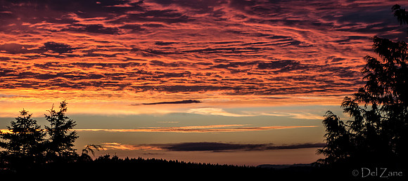09-06 Purple Sunset--7