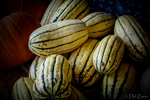 10-05 Farmers' Market--87