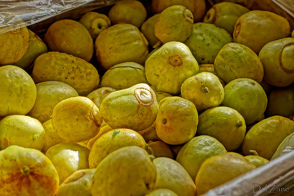 10-05 Farmers' Market--74