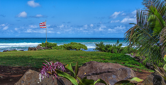 Big Waves from Hana-40