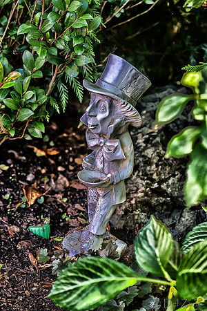 09-12 Shadra's Fall Garden Stroll--52