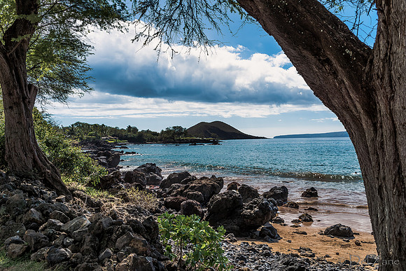 01-16 Makena Landing TIFFs--4