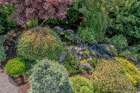 Shadra's Garden
