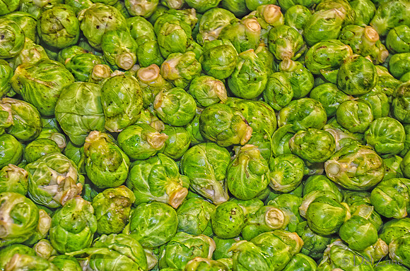 11-17 Indoor Farmers Market-151