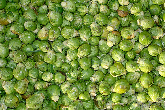 11-23-2013  Xmas Farmers' Market II--23