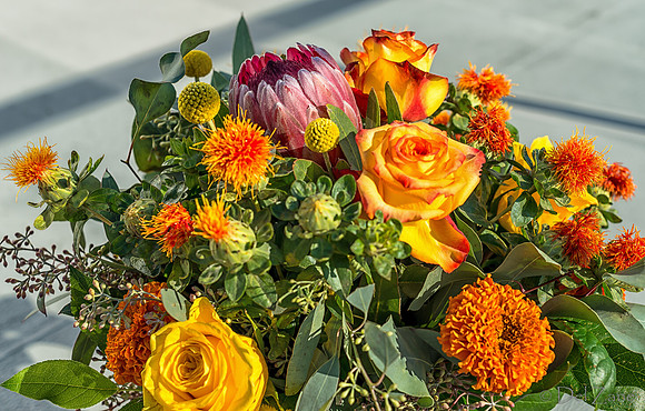 10-01 Bouquet TIFFs--15