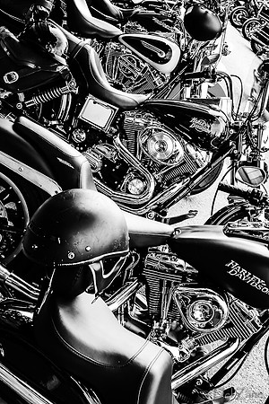 09-23 Oyster Run-75