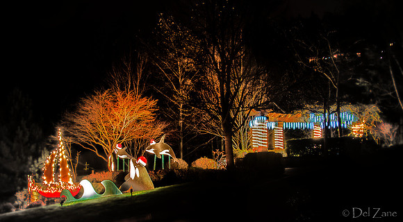 12-13 MH Night Xmas Display-5