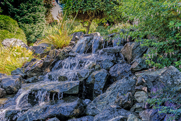 08-17 Shadra Garden 2015 TIFFs--19