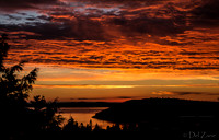 09-06 Purple Sunset--2