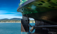 Elwha-9