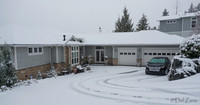 12-20 Snowy Day-0586