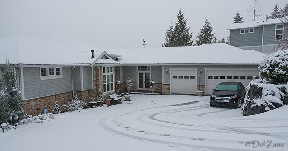 12-20 Snowy Day-0586