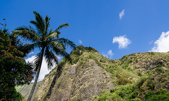 Iao Valley State Park-16