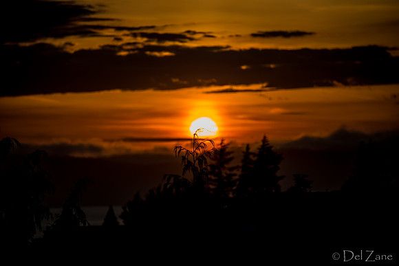 BO Sunset--15