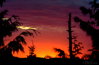 07-16 Cloudy Sunset--17