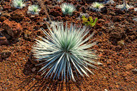 Haleakalā - "House of the Sun"
