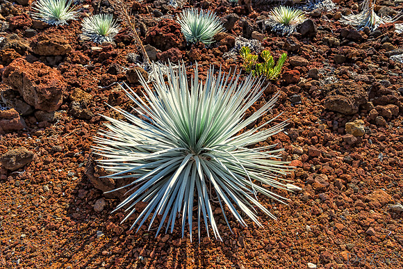 01-17 Haleakala Revisited-2