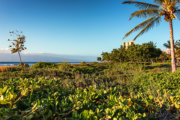 North Kaanapali--10