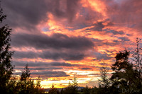 Pink Coral Sunset