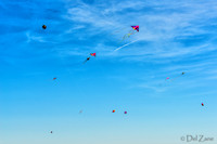 Fort Casey Kite Day