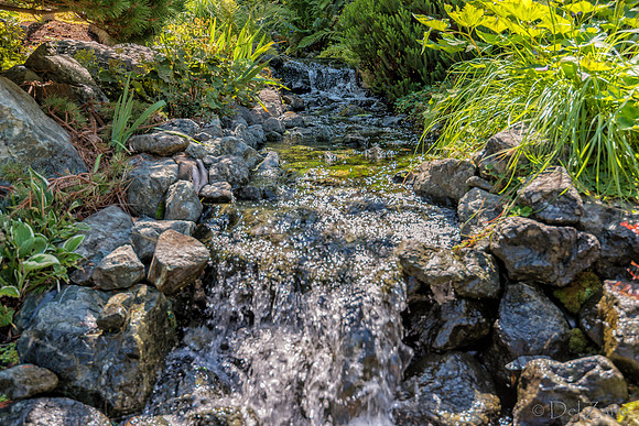 08-17 Shadra Garden 2015 TIFFs--32